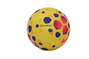 Academy plus  710yellow/purpe