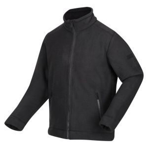Garrian II Ash/Black